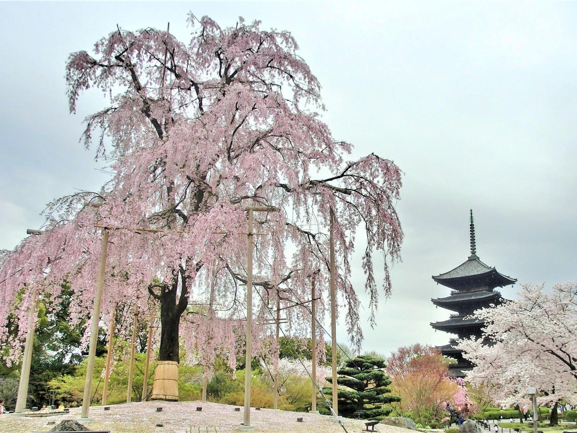 Stay Sakura Kyoto Higashi Hongan-Ji I Екстериор снимка